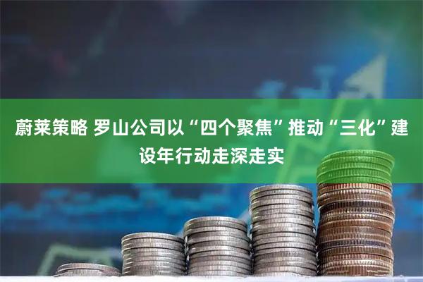 蔚莱策略 罗山公司以“四个聚焦”推动“三化”建设年行动走深走实