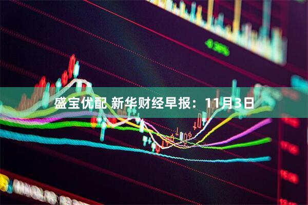 盛宝优配 新华财经早报：11月3日
