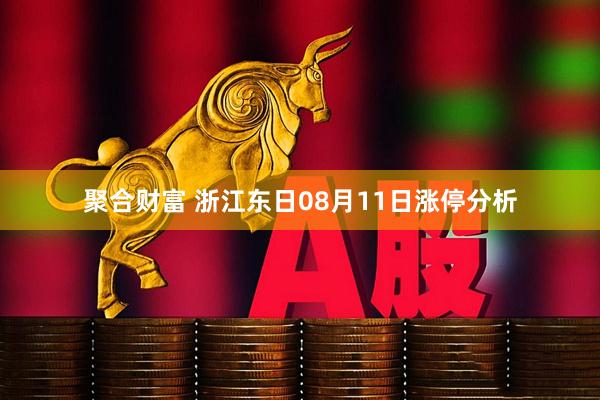 聚合财富 浙江东日08月11日涨停分析